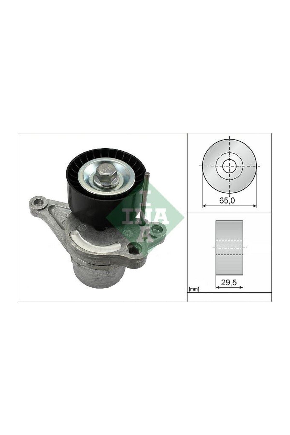 Alternatör Gergi Kütüğü INA 534028110 Renault Master III OEM 117507568R