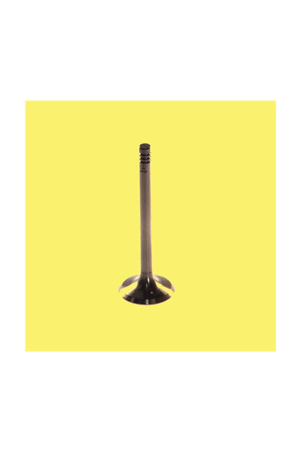 Subap Takımı STD Gunes 1533-1534 Ford Connect