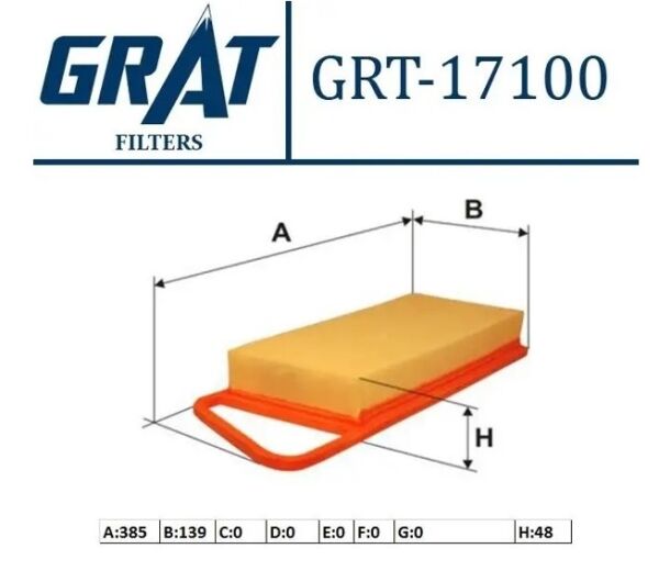 Hava Filtresi GRAT 17100/BX