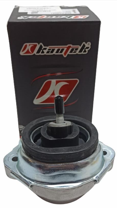 BMW MOTOR TAKOZ X5-E53-M54