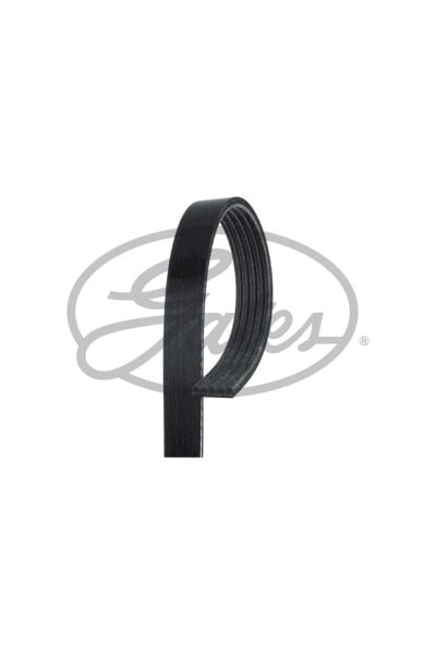 Pompa Kayışı Gates 5PK761SF Ford Transit V363 Arkadan İtişli