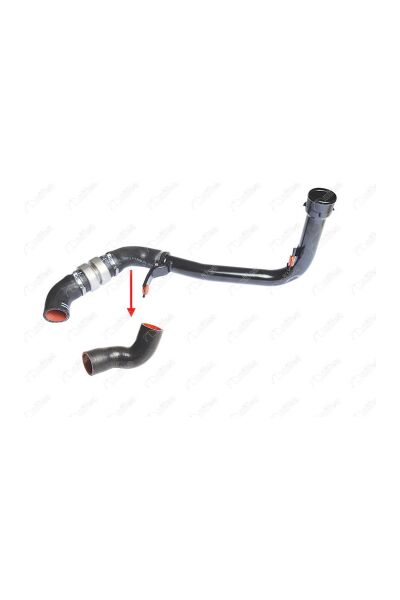Orta Turbo İntercooler Hortumu Küçük Nifea 14871 Peugeot Boxer III / Citroën Jumper III / Fiat Ducato III