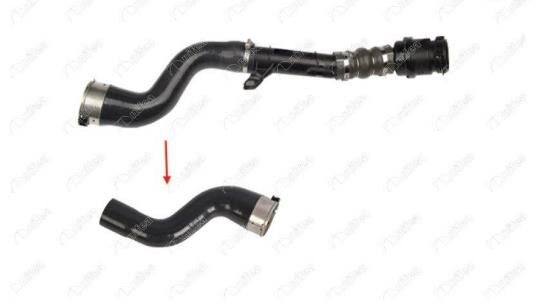 Turbo Hortumu Büyük Nifea 11474 Renault Megane IV 2016-2024 / Clio IV 2012-2021 / Scenic IV 2016-2022