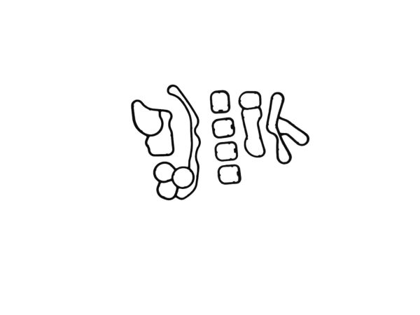 YAĞ SOĞUTUCU CONTA TK. N47N-N57S / F20-F21-F22-E90-E1-E92-F30-F32-F33-F07-F10-F11-E84-F25-F26-E70-F15-E71-F16 / 11428580680-11428580681-11428580682