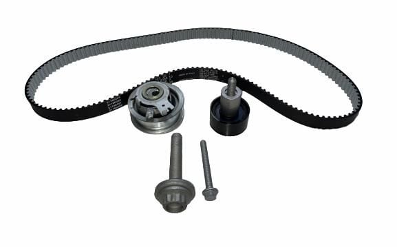 Triger Seti INA 530059211 Volkswagen Golf / Jetta / Passat OEM 04E198119