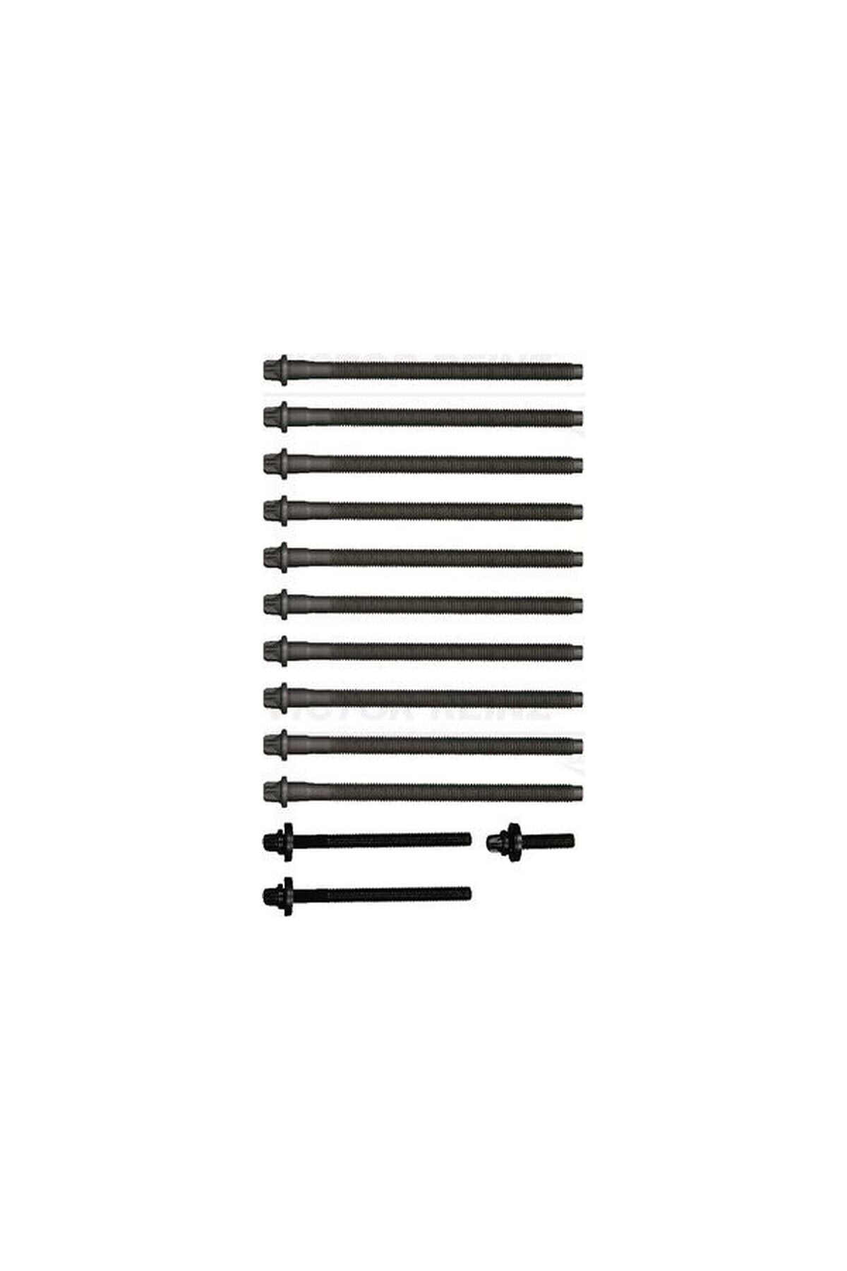 Silindir Kapak Saplama Seti Victor Reinz VR143234701 BMW F20 F30 N12 N13 N14 OEM 11127560274