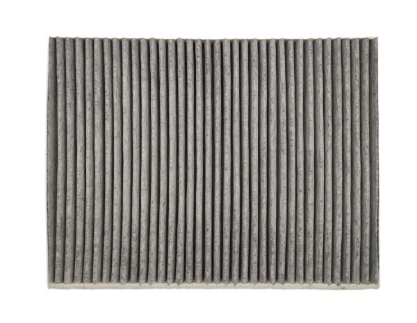 POLEN FİLTERSİ -KARBONLU- / AMAROK-TRANSPORTER-POSCHE-TOUAREG / 7H0819631A