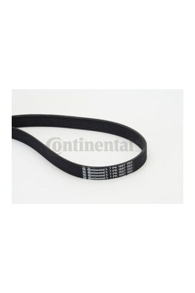 V Kayış 7PK1685 Continental CONTI7PK1687 Renault Master III OEM 117204120R