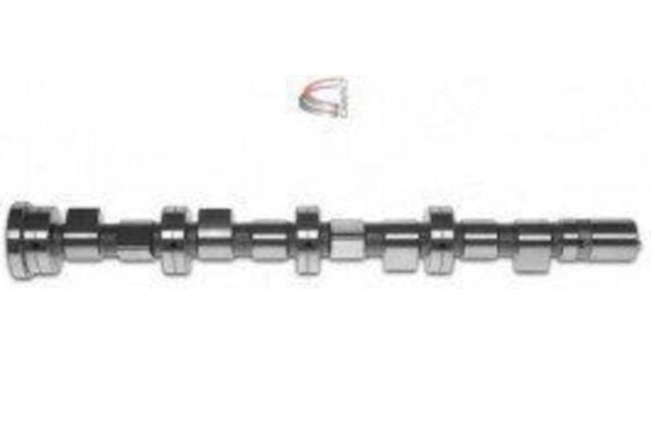Eksantrik Mili Estas 23007 Ducato 2006-2021 OEM 504180898